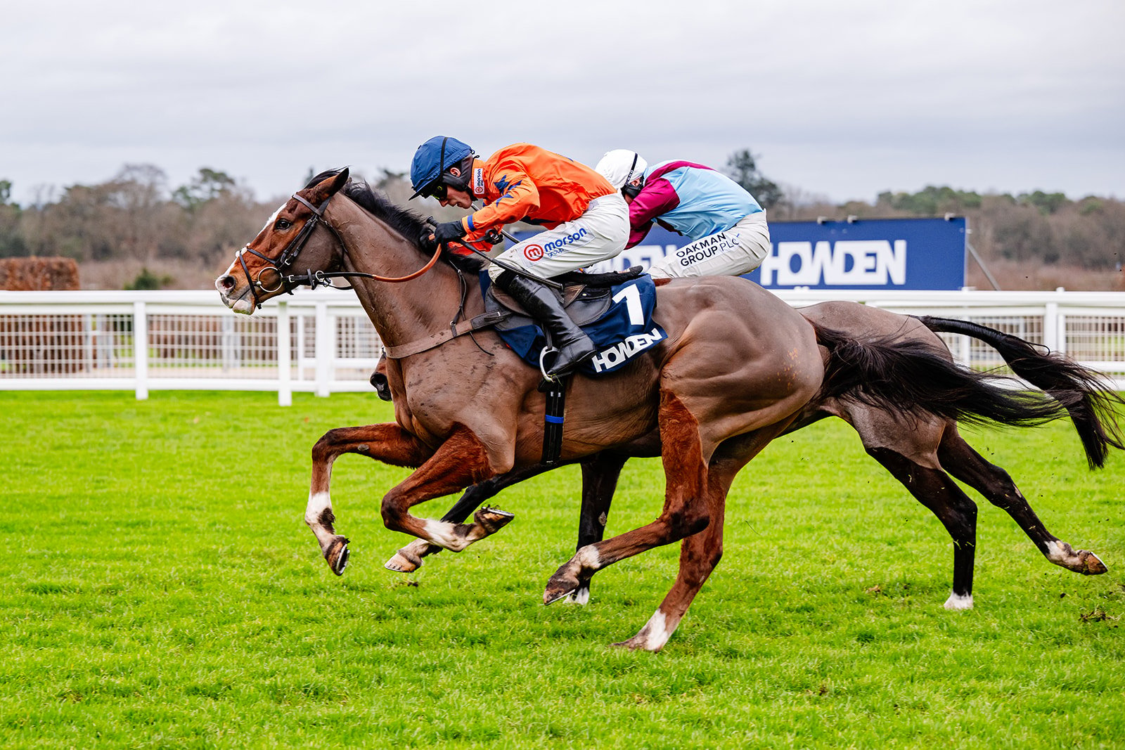 Two horses racing at Ascot with the Howden logo visible in the background